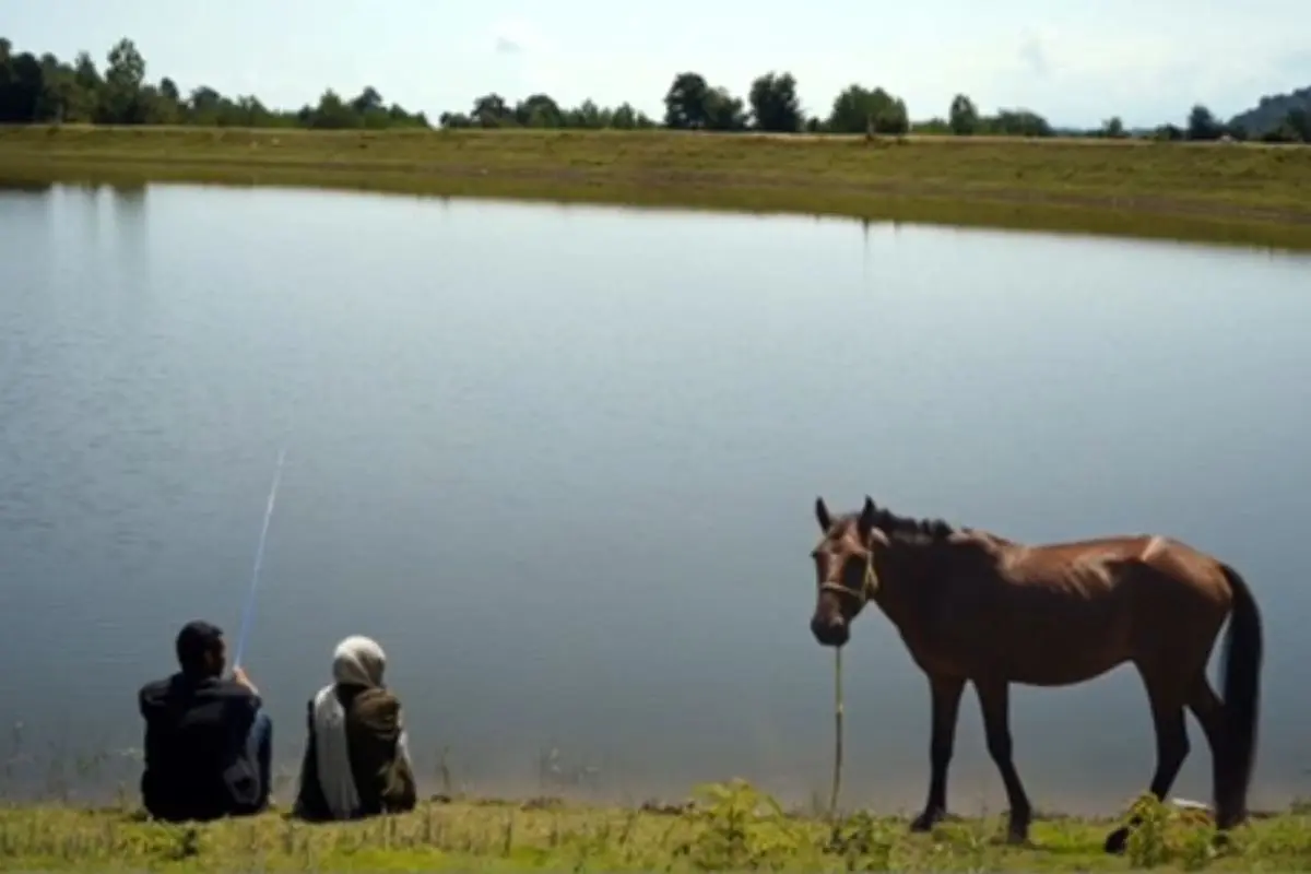 در سینمای که مملو از نامردی، نارو زدن و تجاوز و خشونت است، رفاقت موضوعی متفاوت است/ «عاشق پاییز» خیلی شبیه فیلمسازش است 