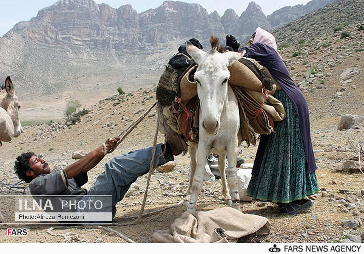 آغاز کوچ عشایر کهگیلویه بزرگ
