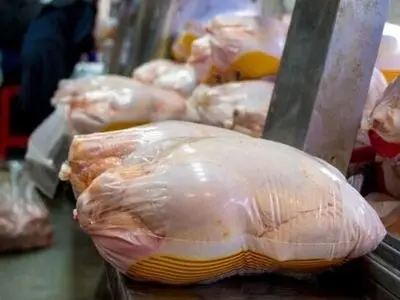 ساماندهی و اصلاح شبکه تامین و توزیع مرغ گوشتی در مشهد