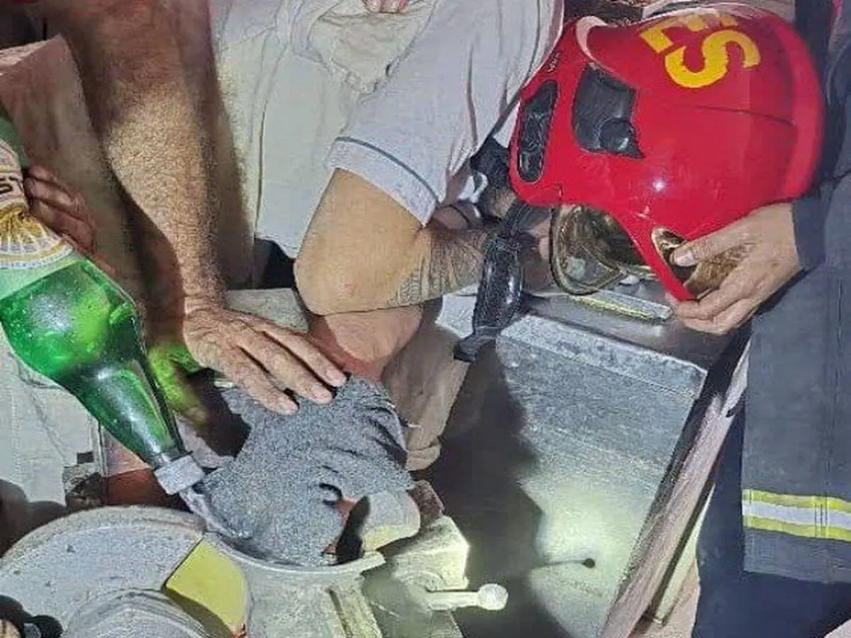 دست کارگر قناد در چرخ گوشت صنعتی گیر کرد