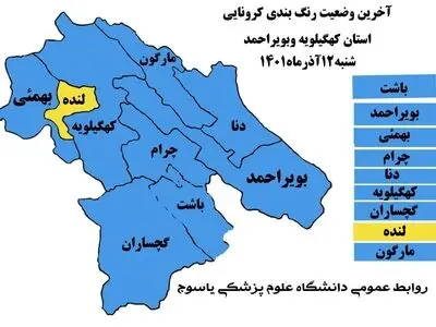 کهگیلویه و بویراحمد آبی کرونایی شد