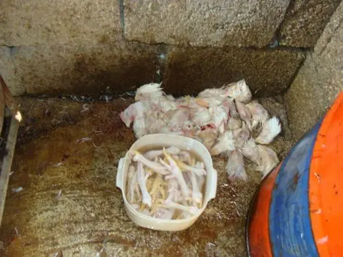 عرضه‌ی غیربهداشتی مرغ در شوشتر