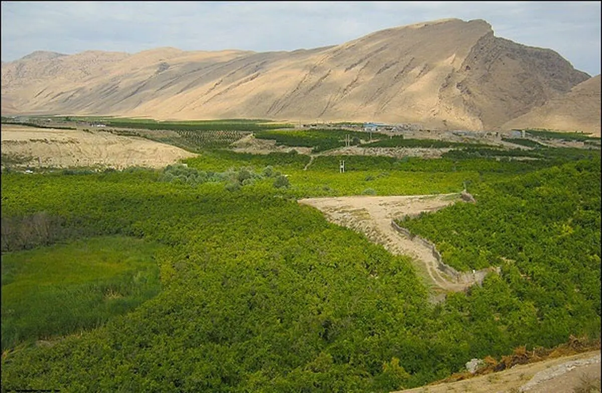 آزادسازی ۳۵ هکتار از اراضی ملی و منابع طبیعی خراسان رضوی