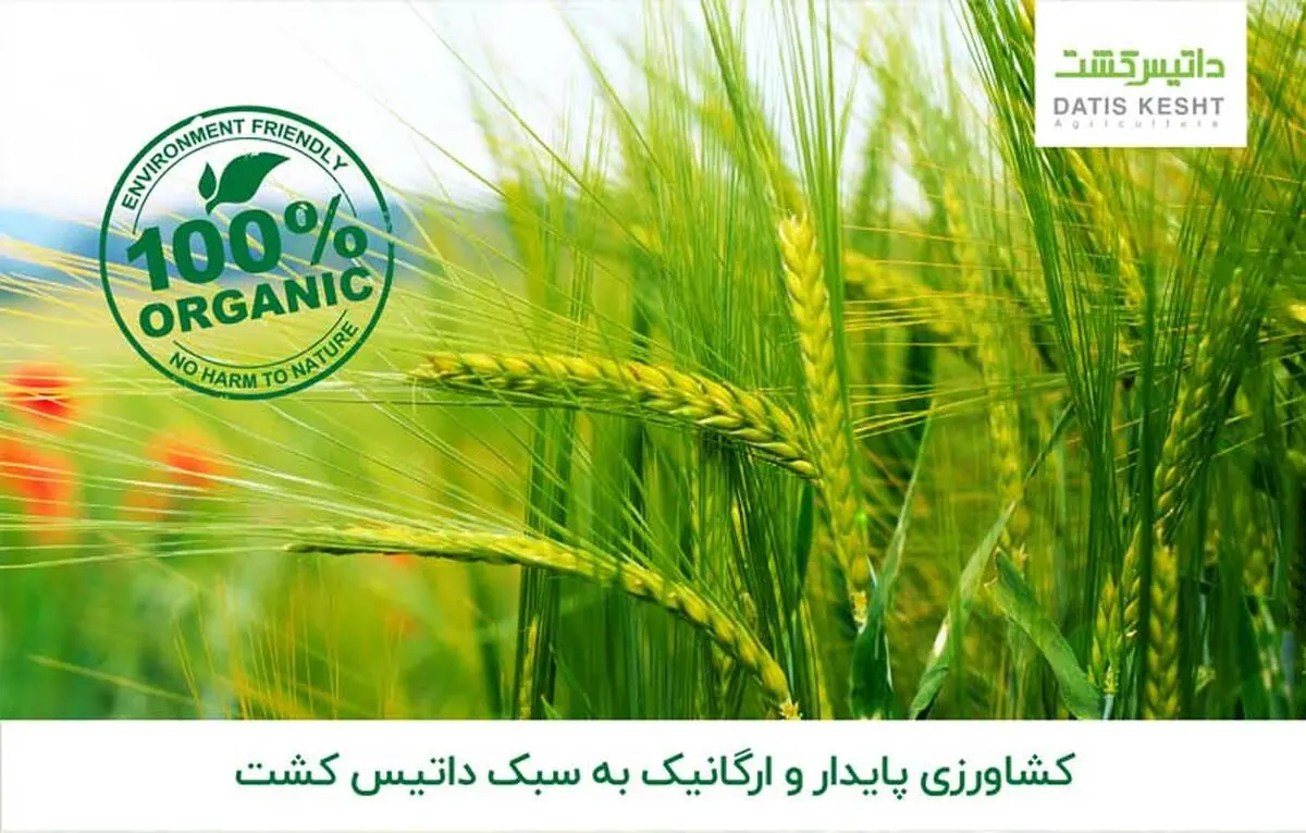 کشاورزی پایدار و ارگانیک به سبک داتیس کشت