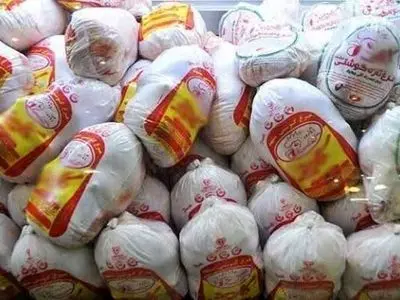 روزانه به طور میانگین ۱۱۰ تن مرغ گرم نیز در بازارهای گلستان توزیع می‌شود