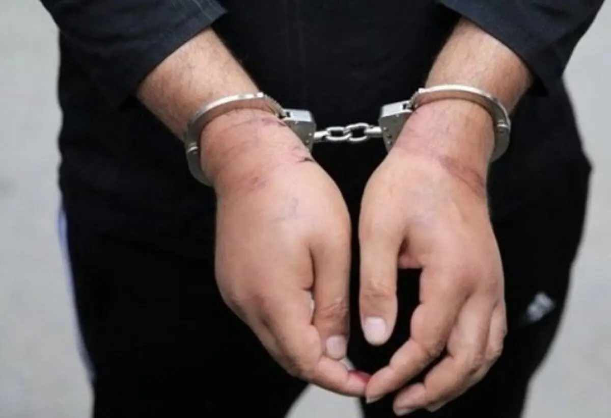 ۲۵۴ متهم به سرقت در مشهد دستگیر شدند