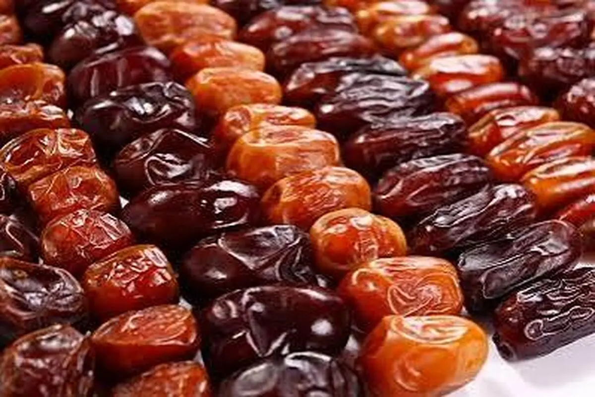 بیش از ۱.۹ میلیون تن خرما در کشور تولید می شود