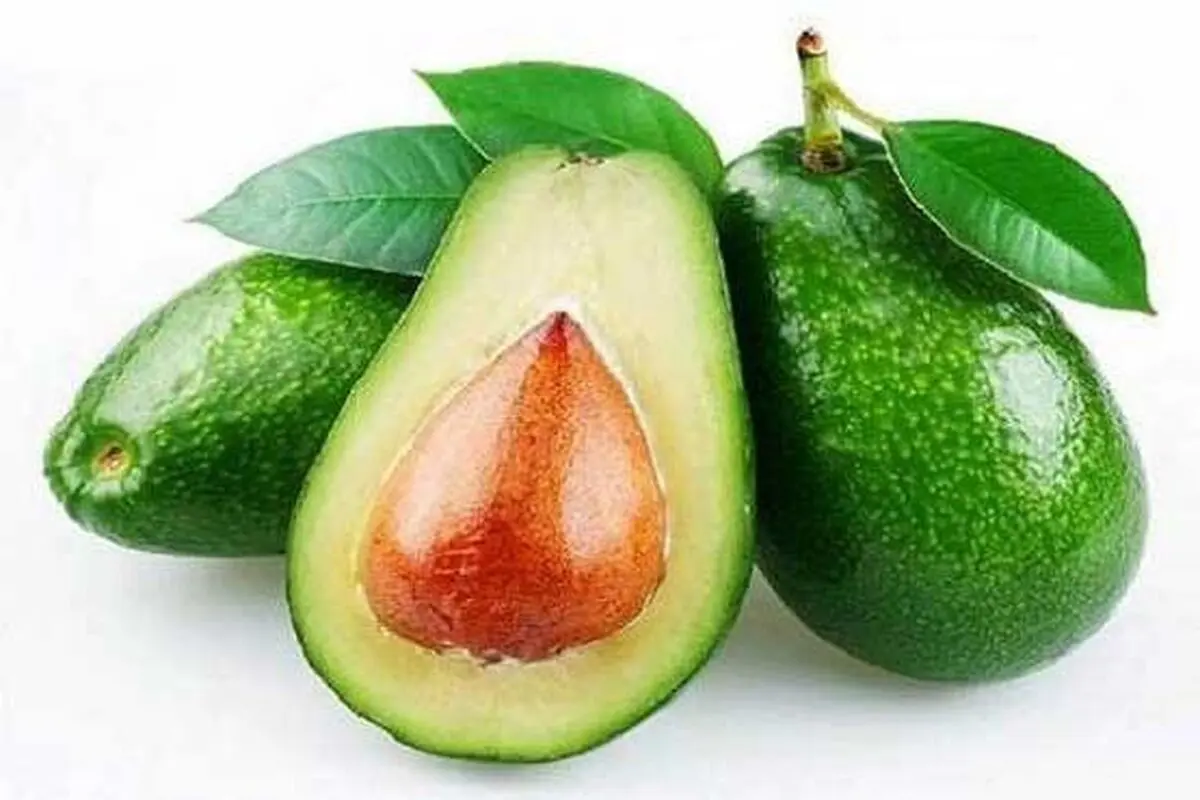 آووکادو عامل کاهش وزن