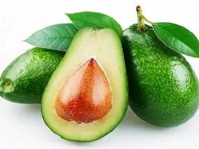 آووکادو عامل کاهش وزن