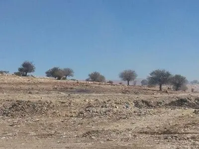 احیای دشت شهرکرد نیازمند همکاری همه جانبه مسئولان
