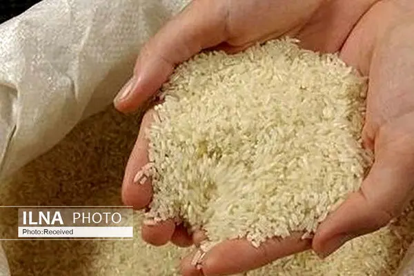 Iran seek to import rice from Thailand and South America