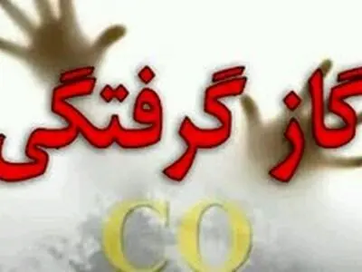 هفت نفر در سیرجان با گاز مونوکسید کربن مسموم شدند