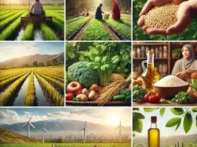 وجود حلقه‌های متعدد واسطه‌ای چالش زنجیره عرضه محصولات کشاورزی / معضل اصلی بازار مصرف گران‌سازی است نه گرانی