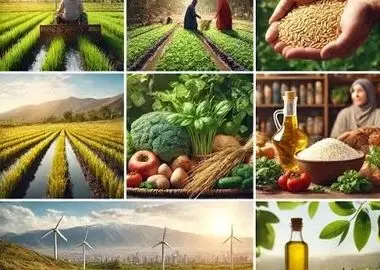 وجود حلقه‌های متعدد واسطه‌ای چالش زنجیره عرضه محصولات کشاورزی / معضل اصلی بازار مصرف گران‌سازی است نه گرانی