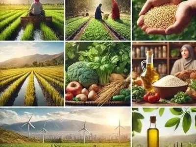 وجود حلقه‌های متعدد واسطه‌ای چالش زنجیره عرضه محصولات کشاورزی / معضل اصلی بازار مصرف گران‌سازی است نه گرانی
