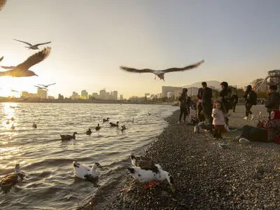 دریاچه خلیج فارس به استقبال بهار رفت/غرس بیش از ۲۵۰ اصله درخت