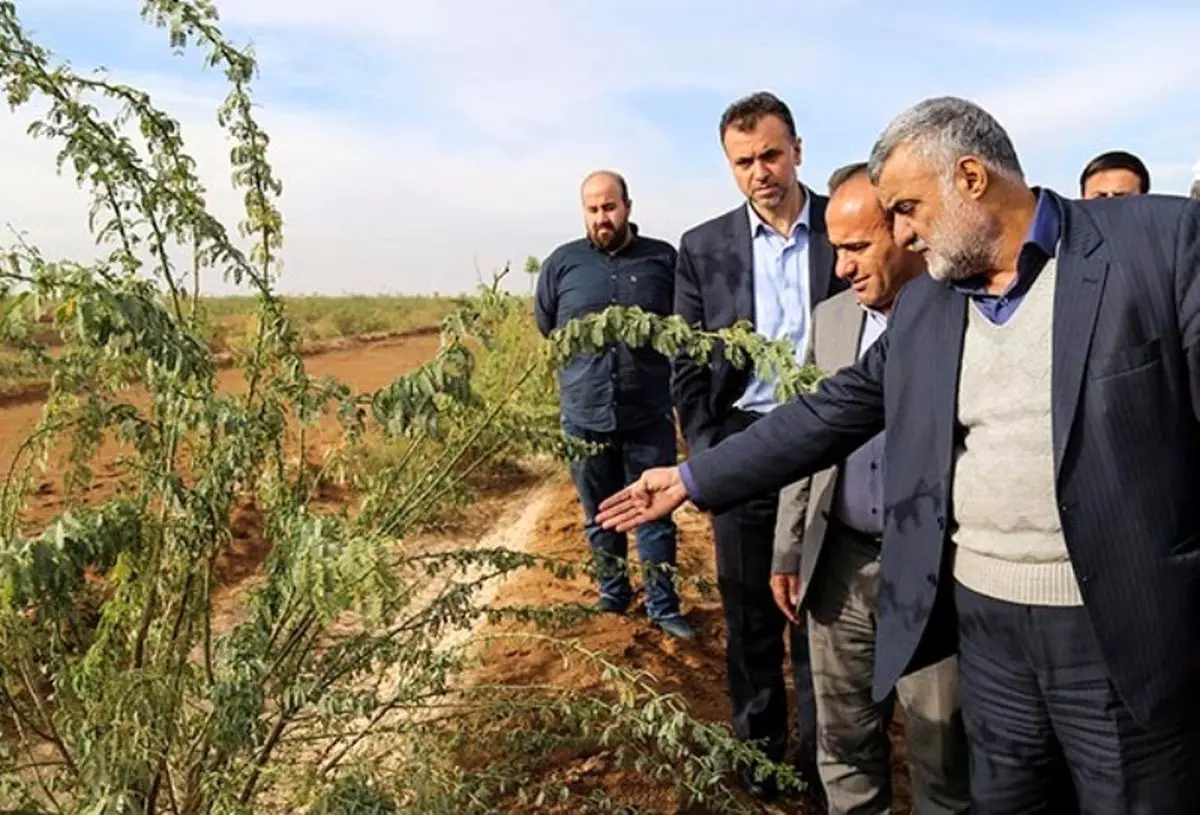 نهالکاری و مرطوب سازی ۳۰ هزار هکتار از کانون‌های فوق بحرانی گرد و غبار در اهواز