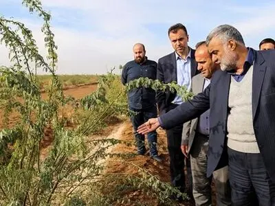 نهالکاری و مرطوب سازی ۳۰ هزار هکتار از کانون‌های فوق بحرانی گرد و غبار در اهواز