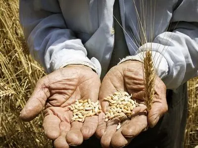 تعاون روستایی وظیفه‌اش را انجام نمی‌دهد/کود در بازار آزاد به دو برابر قیمت به وفور یافت می‌شود/کاهش درآمد کشاورزان به‌خاطر آزادسازی قیمت‌ نهاده‌ها 