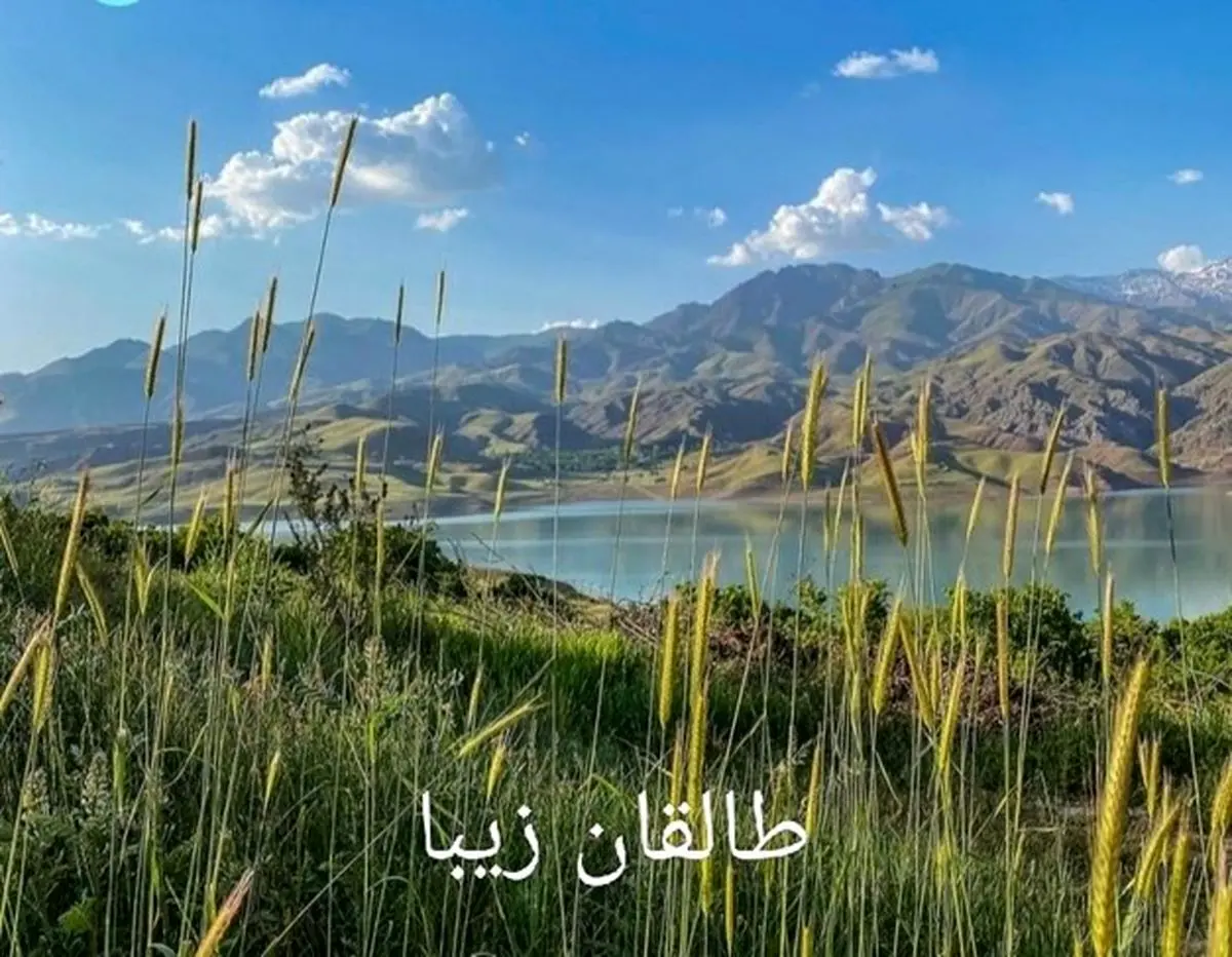 طالقان کجاست؟ نگاهی عمیق‌تر به طبیعت، فرهنگ و جاذبه‌های دیدنی طالقان