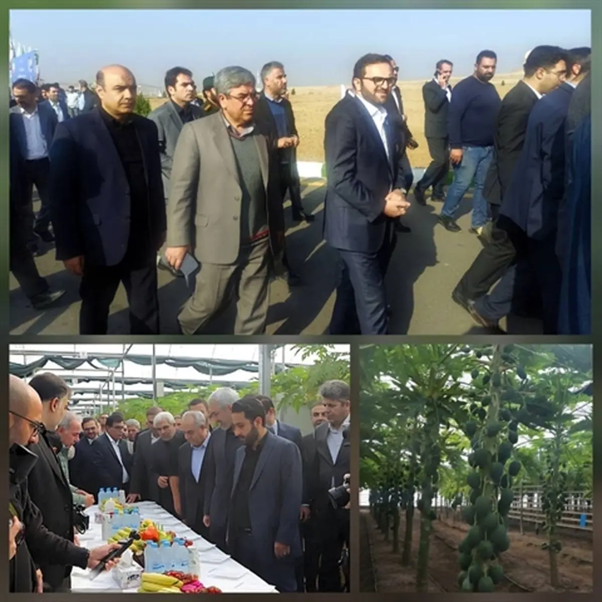 بازدید مدیرعامل بانک کشاورزی و وزیر اقتصاد از پروژه راهبردی «گوزل طبیعت ارس»/ تأکید بر تقویت سرمایه‌گذاری و توسعه اقتصاد صادرات‌محور