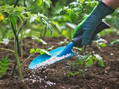 یک سال بلاتکلیفی در پرداخت ارز 