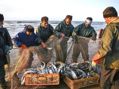 صید بیش از ۵۰۰ تن ماهی استخوانی از دریای خزر در گیلان تاکنون
