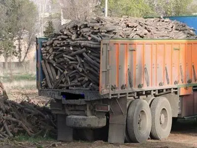 محکومیت ۳۱۵ میلیون ریالی قاچاقچی چوب و زغال در باغملک