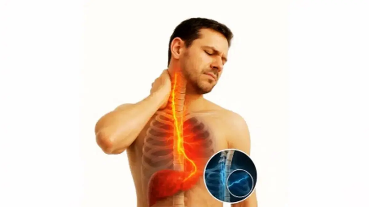 ارتباط عجیب کبد چرب با گردن درد 