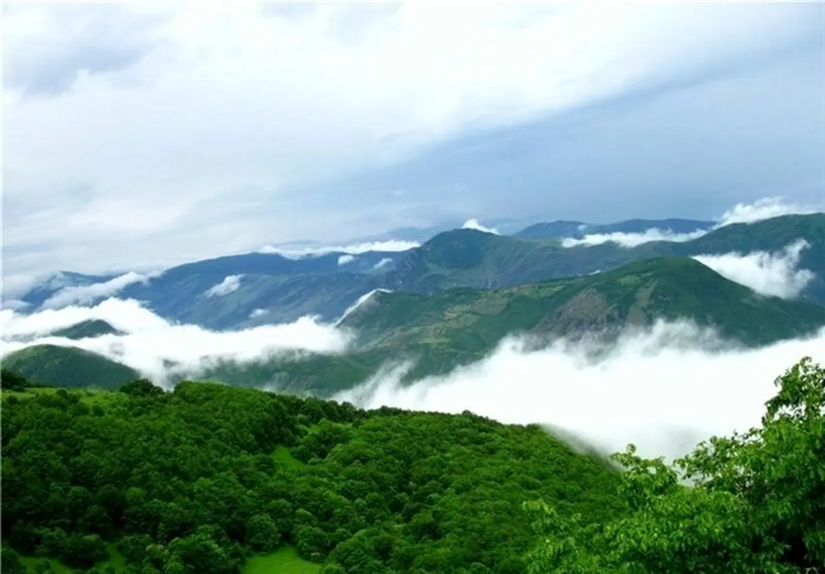 شاهد تغییر اقلیم محسوسی در استان گلستان  هستیم