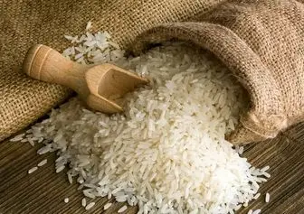 امسال ۱.۸ میلیون تن برنج در کشور تولید می شود