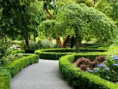 اجرای نظارت بر آبیاری مناسب فضای سبز شهری در کرج /پیمانکاران خاطی، جریمه می شوند