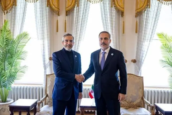 Bagheri Kani meets Fidan in Istanbul