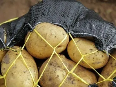 ورود نخستین محموله سیب‌زمینی به کشور/ قیمت‌ها کنترل می‌شود