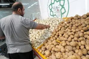 قیمت انواع سبزیجات در بازارهای میوه و تره بار اعلام شد