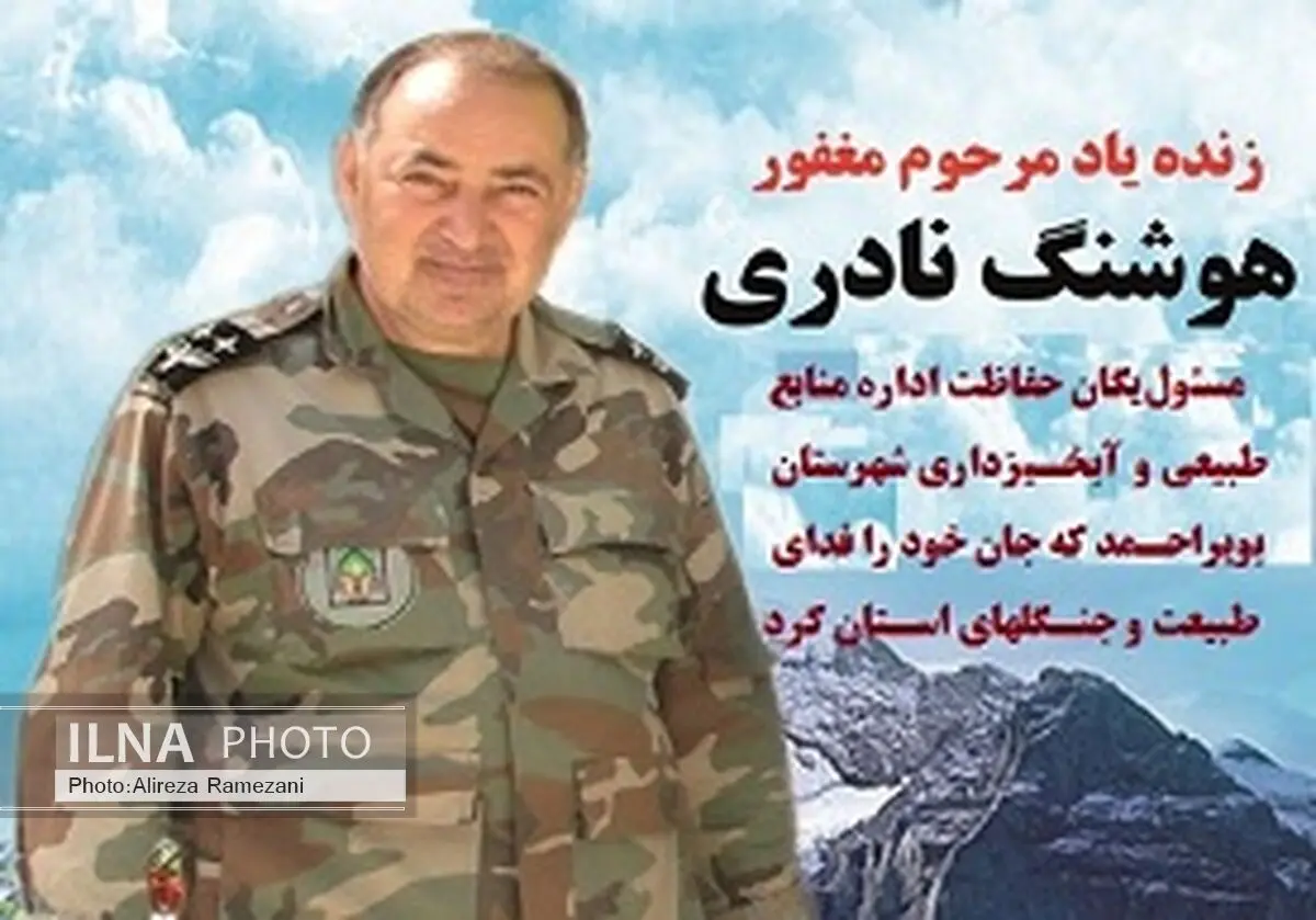  هوشنگ نادری را شهید اعلام کنند