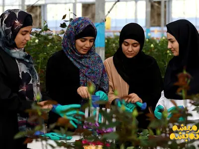 «پرورش گل رز» سوژه جدیدترین قسمت «میشه که بشه»