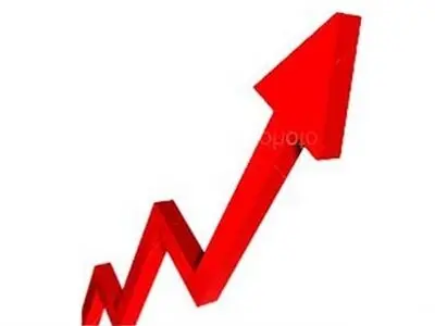 Average bank profit rate is 18.9; central bank economic deputy