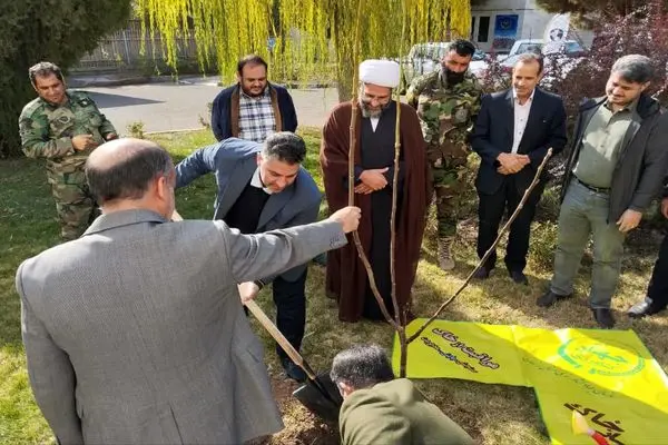 کاشت نهال به مناسبت  گرامیداشت  روز جهانی خاک در محوطه سازمان جهاد کشاورزی زنجان