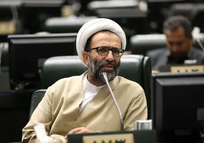 پیگیری خسارات مالی حوادث دی‌ماه و بازار جنت آباد از سوی مجلس/ دولت اگر آلزایمر دارد، درمانش کند