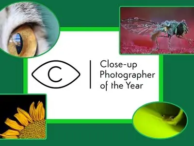 ثبت اوج ظرافت‌ها در طبیعت با دوربین/ تلاش برای تغییر ادراک انسان