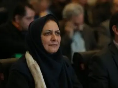 منابع دولت در مشاغل خانگی و کسب و کارهای کوچک زودبازده هرز می‌رود/ برای رفع بیکاری باید بودجه عمرانی و نوسازی افزایش یابد