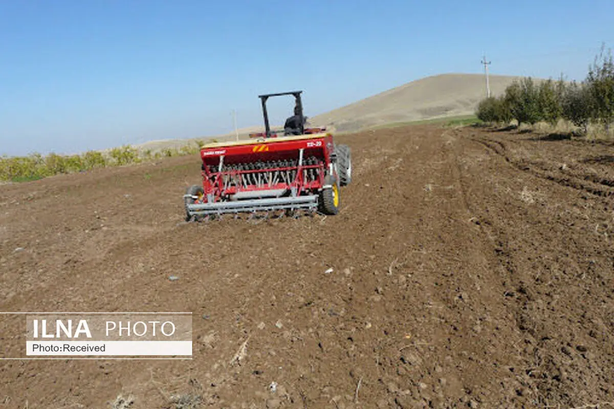 ۱۳ هزار هکتار از دیمزارهای قزوین زیر کشت بهاره می‌رود
