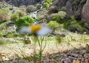 نجات دشت‌های بحرانی چهارمحال و بختیاری در گرو مشارکت ذی‌نفعان و مدیریت قاطع منابع آب