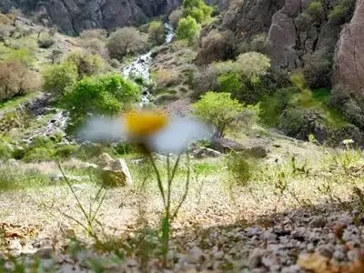 نجات دشت‌های بحرانی چهارمحال و بختیاری در گرو مشارکت ذی‌نفعان و مدیریت قاطع منابع آب