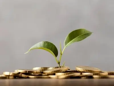 چرا صندوق زیتون گزینه مناسبی برای سرمایه‌گذاران حقوقی است؟