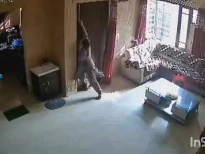 زنی در هند با ایستادگی در برابر سارقان، از ورود آن‌ها به خانه‌ای که فرزندانش در آن بودند، جلوگیری کرد + فیلم