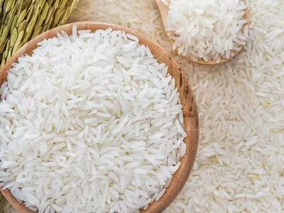 فریاد واردکنندگان برنج علیه تصمیم‌های متناقض دولت و مجلس