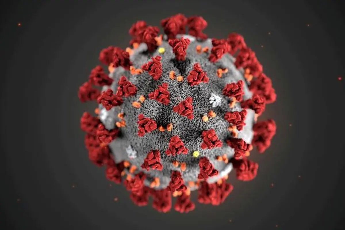 Coronavirus stopped exporting Iran's oil; official