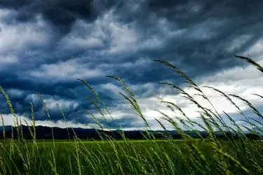 کاهش نسبی دما در در شمال شرق کشور